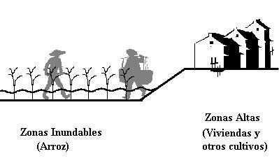 Agricultura Monznica