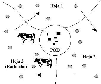 Agricultura sedentaria de secano