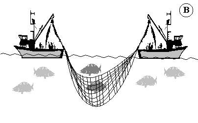 Pesca de cerco