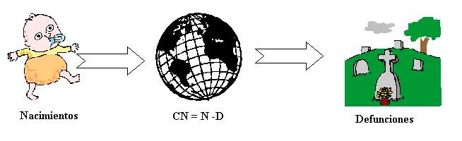 Grafico 4