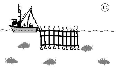 Pesca de palangre