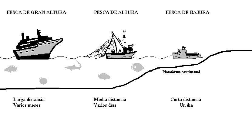 Tipos de pesca