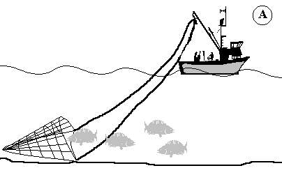 Pesca de arrastre