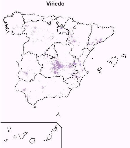 reas productora de viedos en Espaa